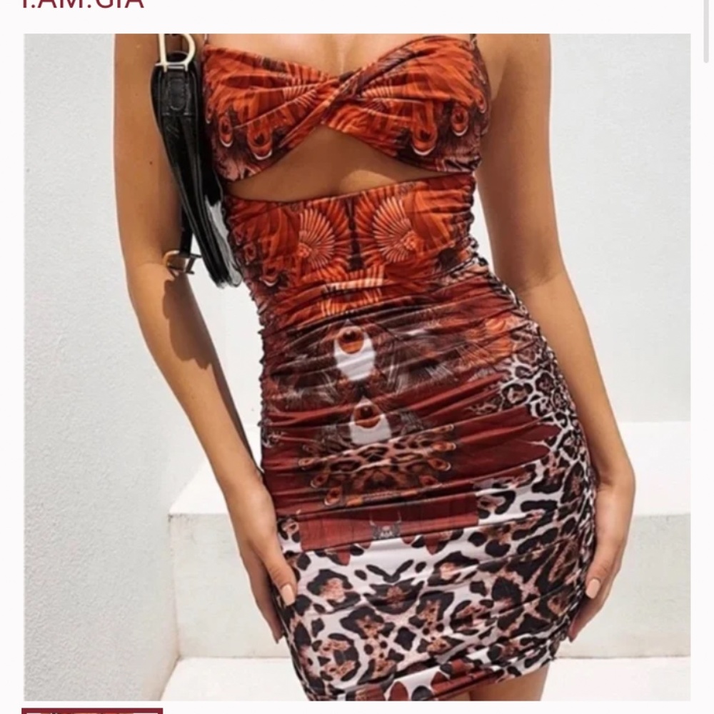 Size small tiger mist vera dress